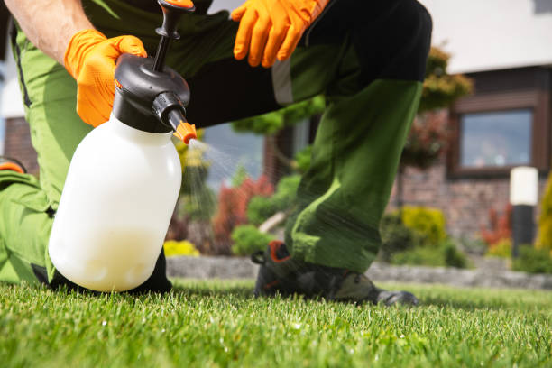 Best Pest Control for Businesses  in Liberty, NC