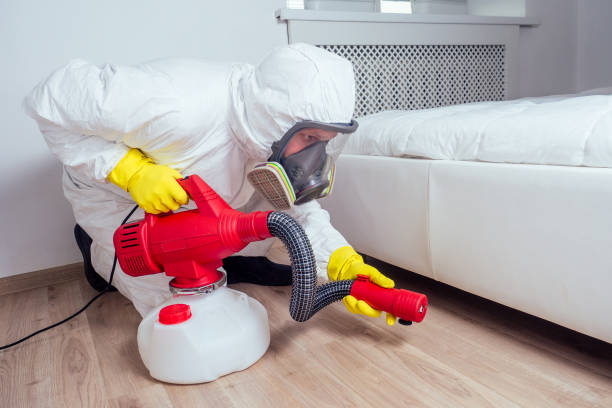 Best Insect Control  in Liberty, NC