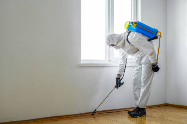 Professional Pest Control in Liberty, NC