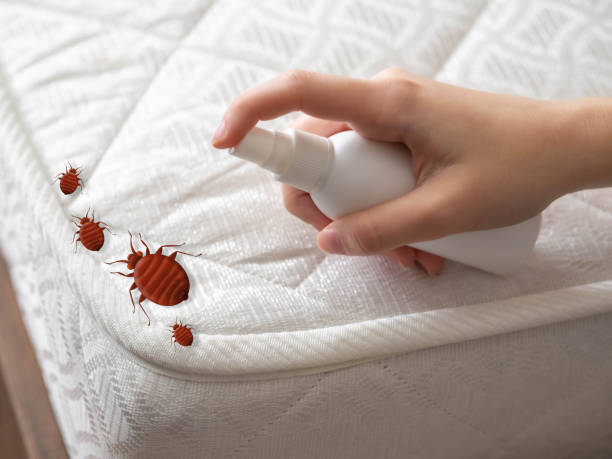 Best Affordable Pest Control Services  in Liberty, NC
