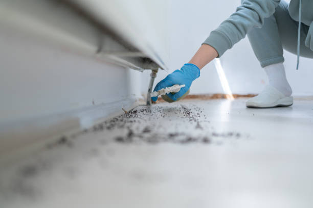 Best Exterminator Services  in Liberty, NC