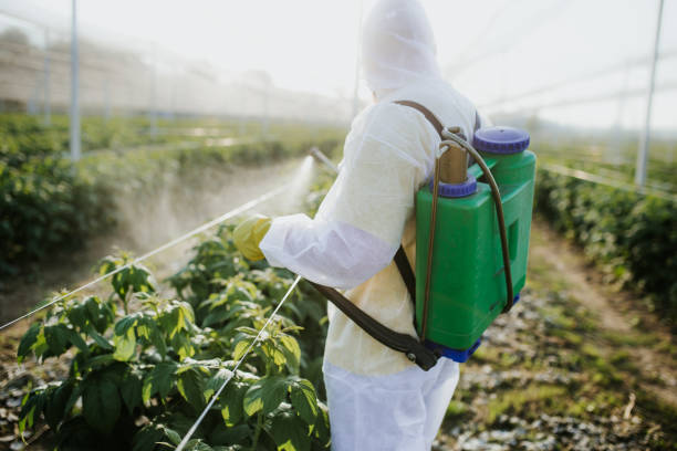 Best Pest Control Cost  in Liberty, NC